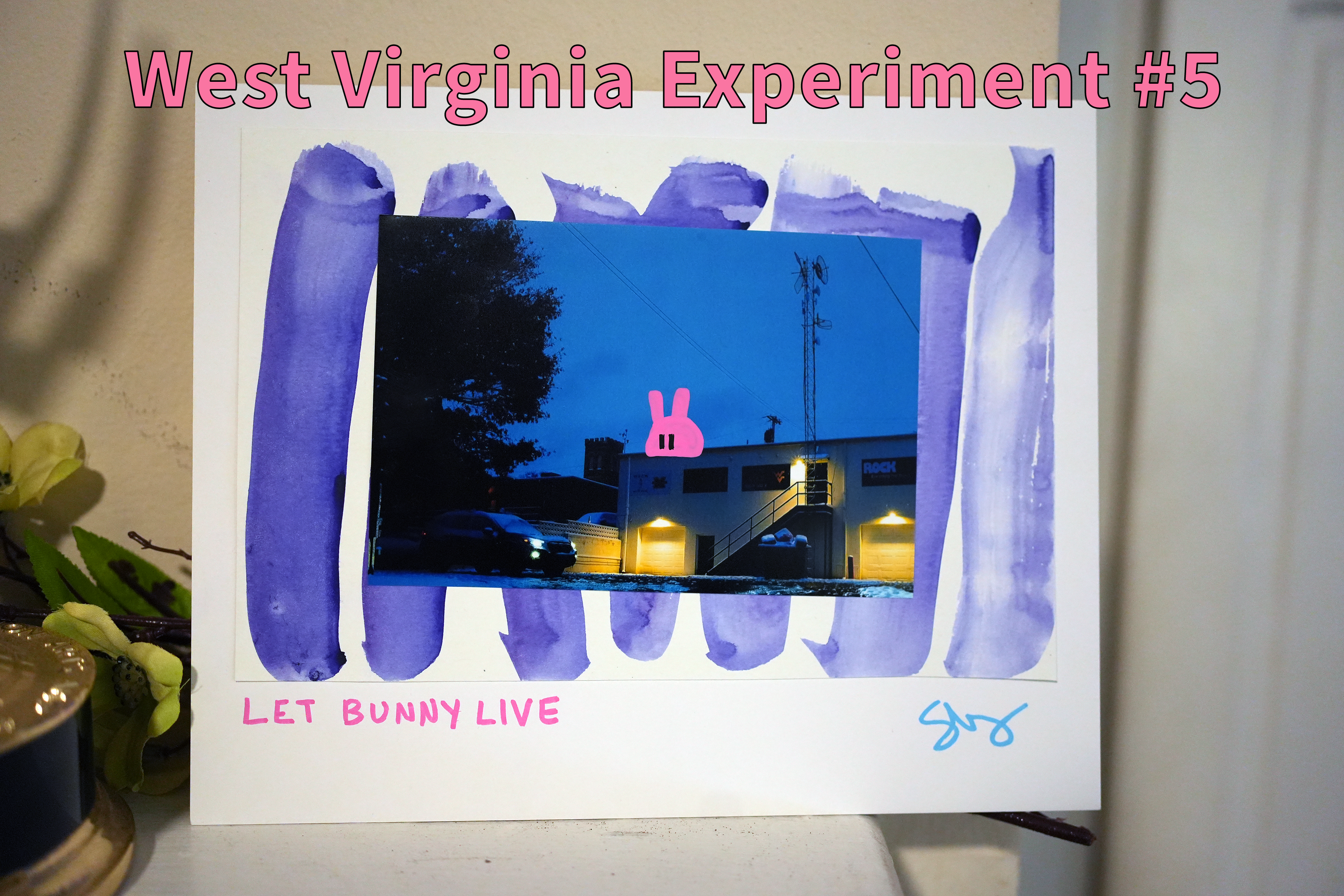 West Virginia Experiments #1-8