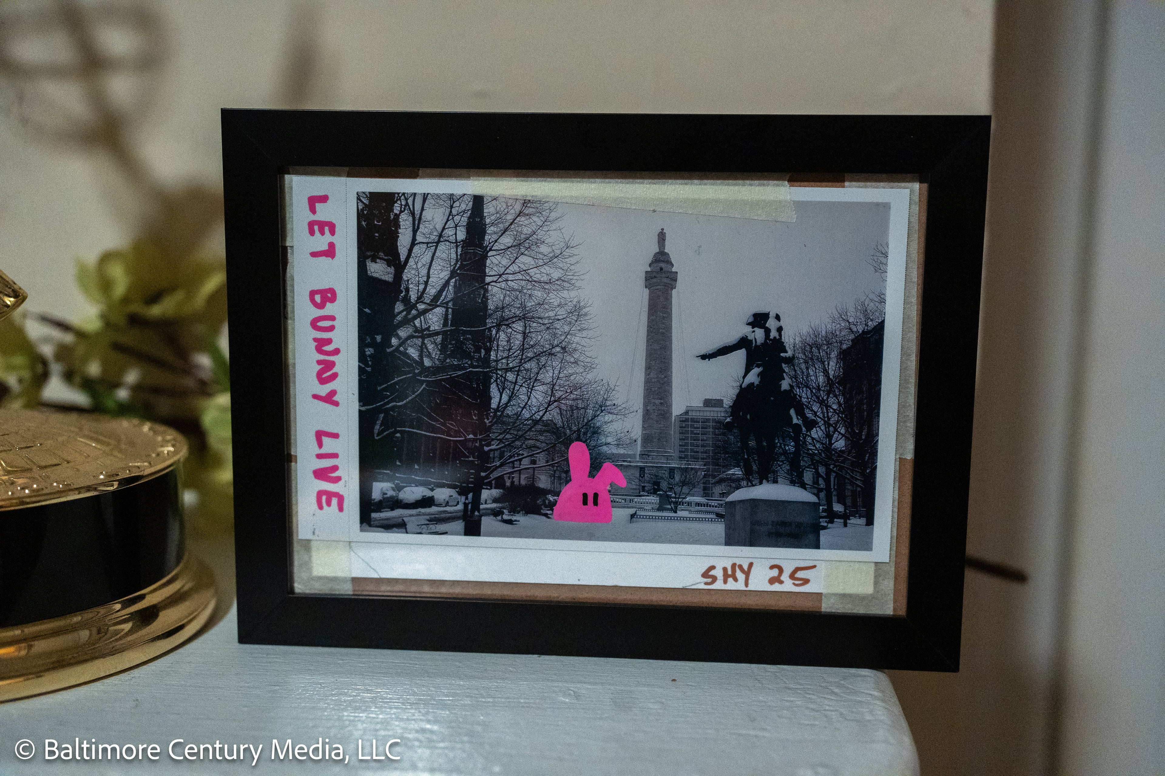 Let Bunny Live #2, 2025 - 4x6" (Framed)