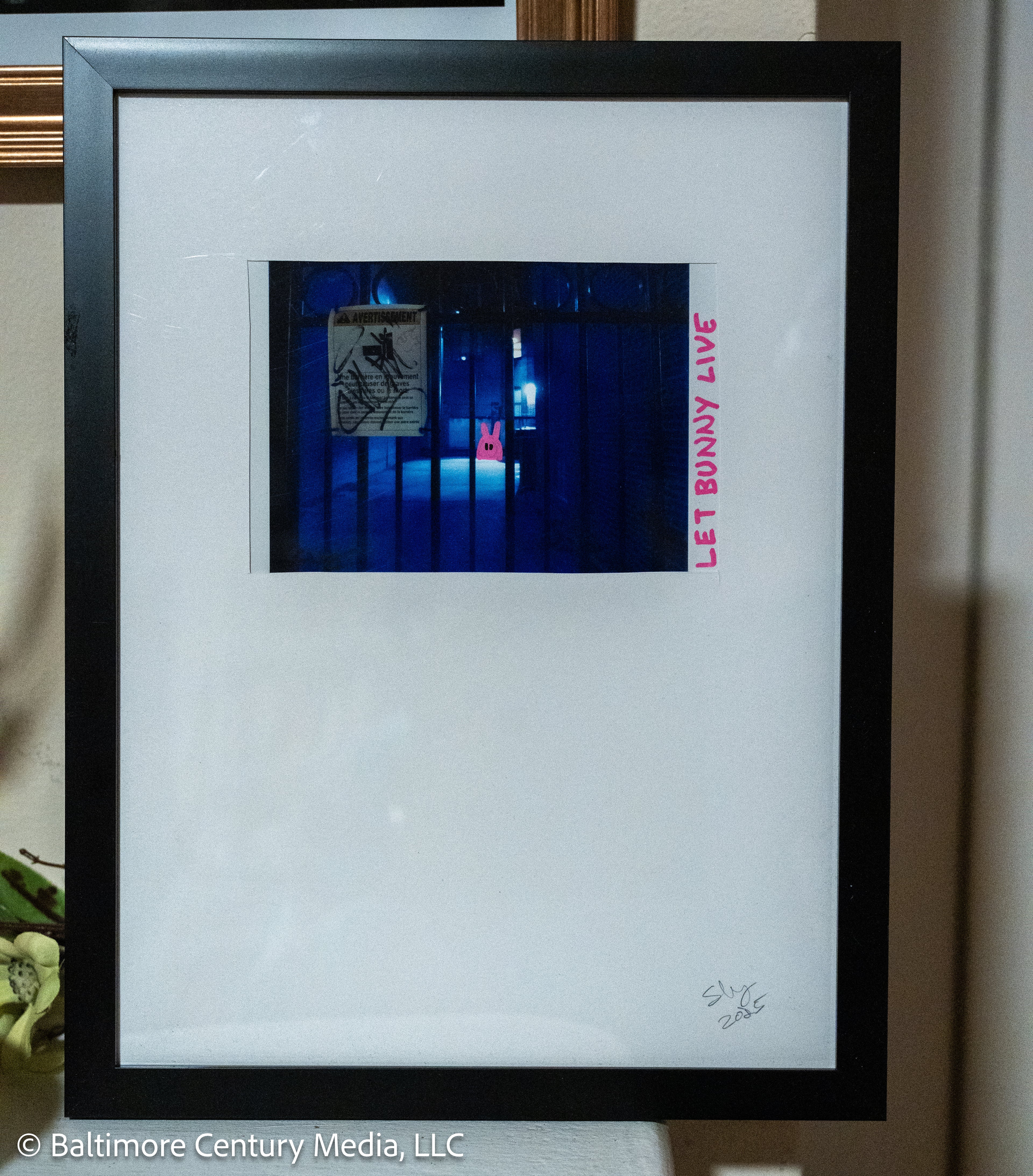 Let Bunny Live Jail #2, 2025 (Framed)